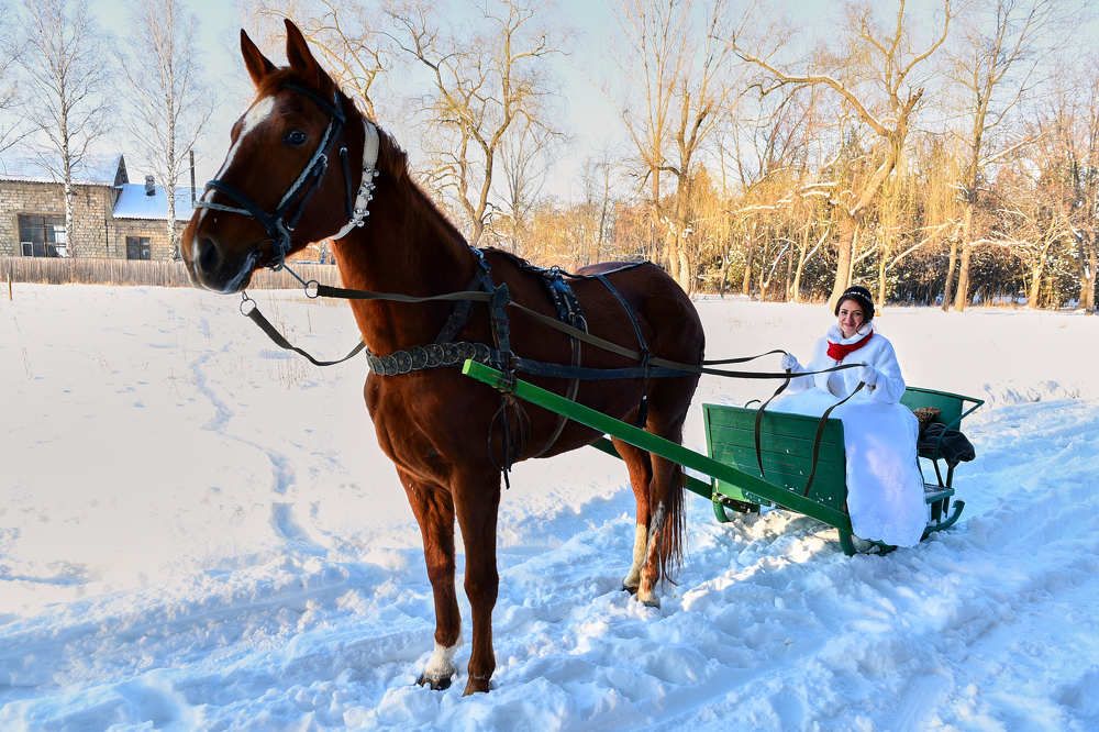 Photograph by Veaceslav Cornei