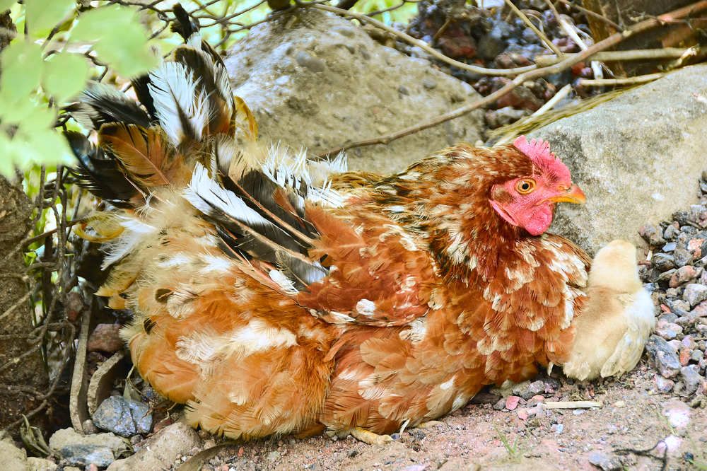 Photograph by Veaceslav Cornei