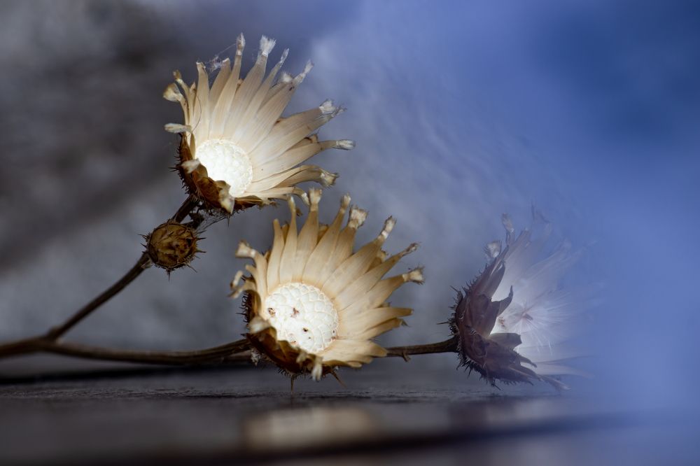 Photograph by Татьяна Новикова