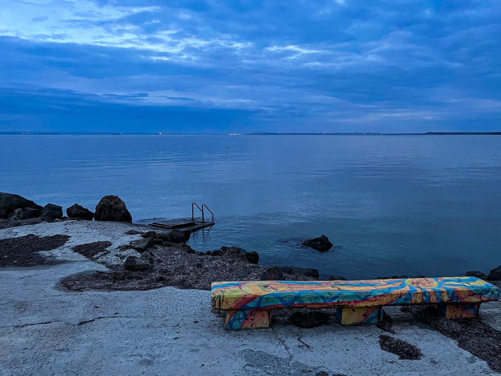 Фотография автора Александра Борисова