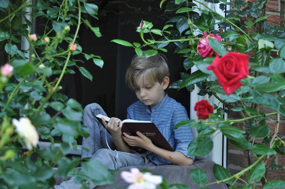 The world opens in learning