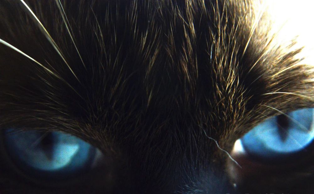 Mirada