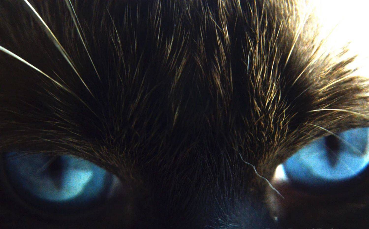 Mirada