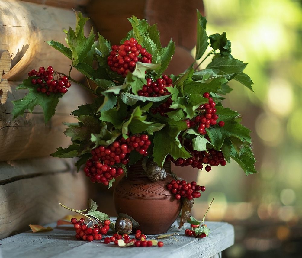 Осенние мотивы