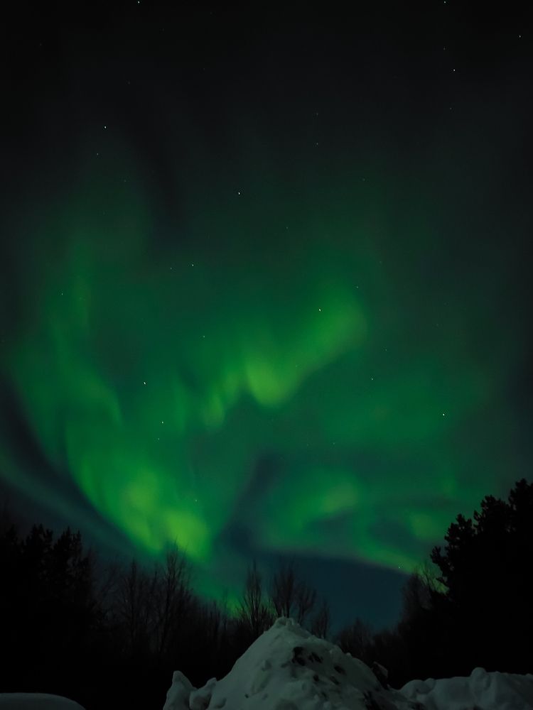 Фотография автора Марина Курара