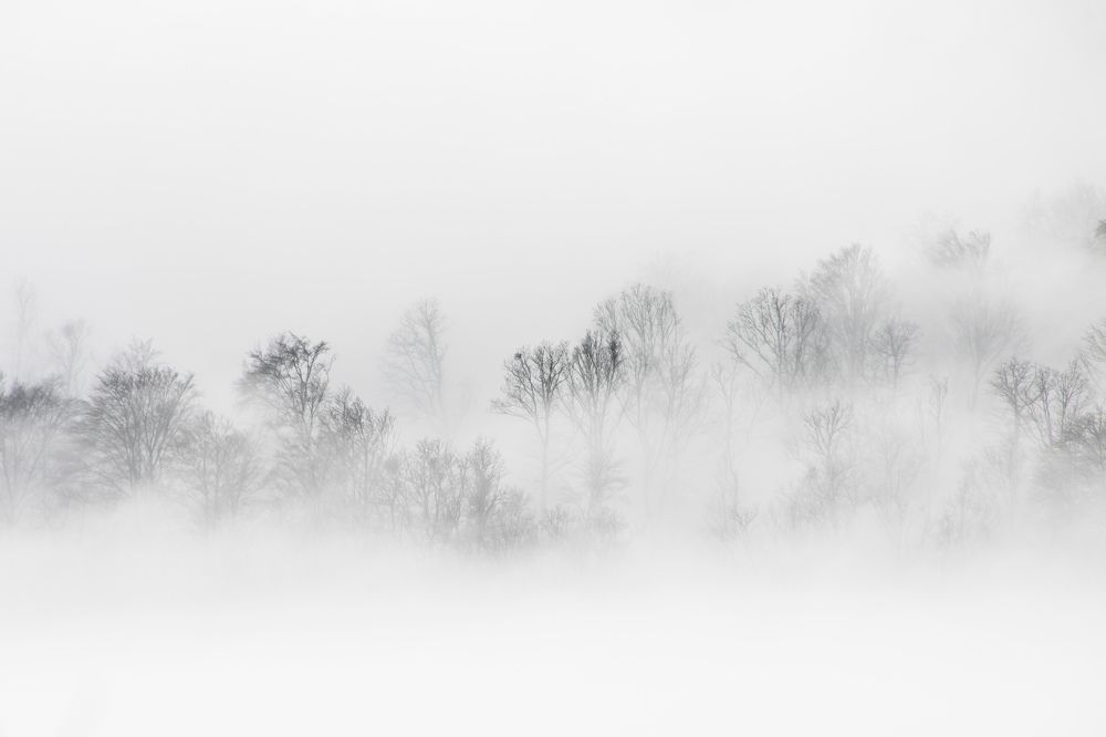 Photograph by Mirjana Spajić Buturac