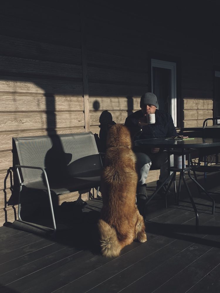 Photograph by Марина Урусова