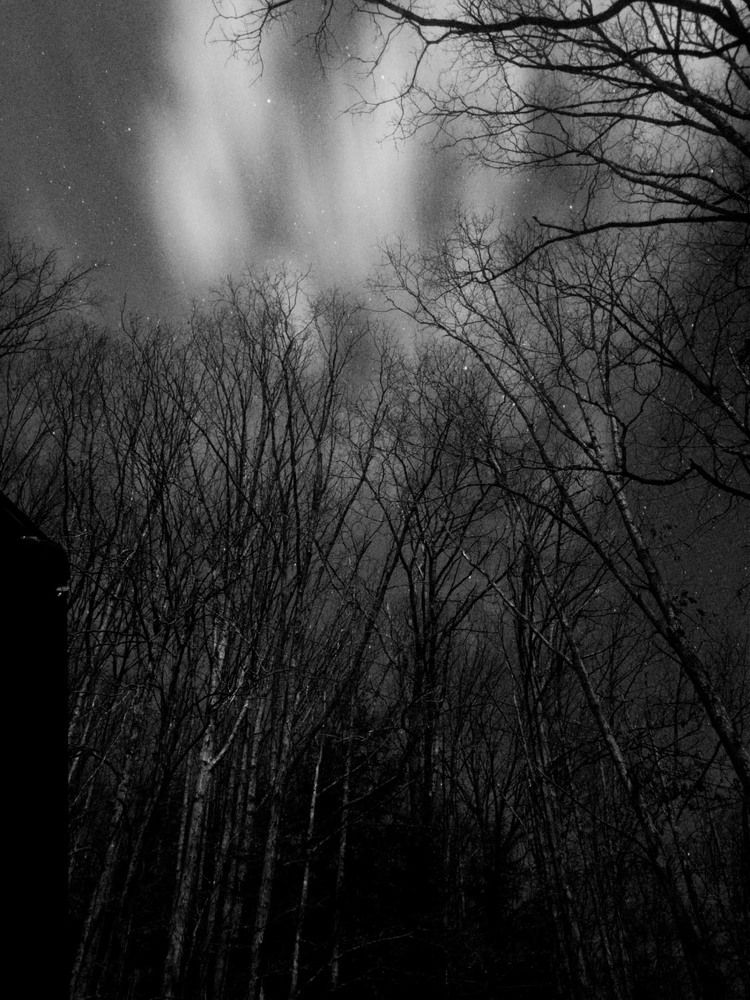 Photograph by Laura Consuelo Dominguez Chitiva