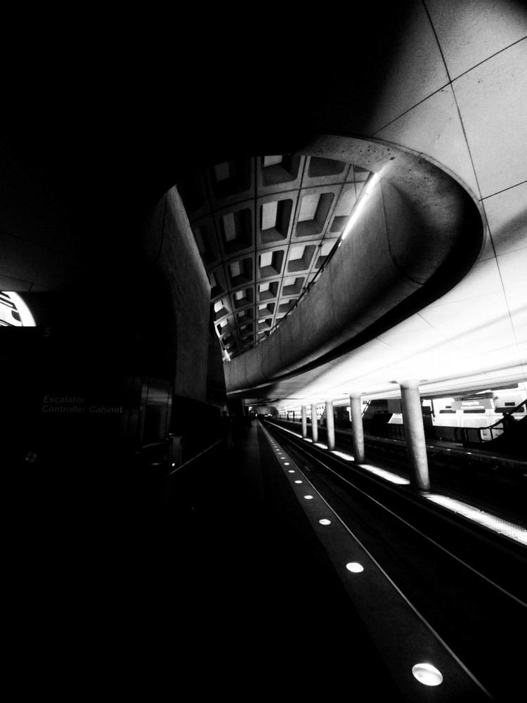 Photograph by Laura Consuelo Dominguez Chitiva