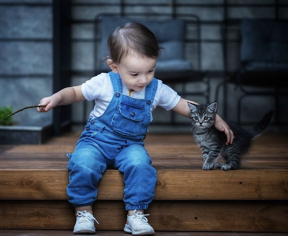 Фотография автора Hamidreza Saedi