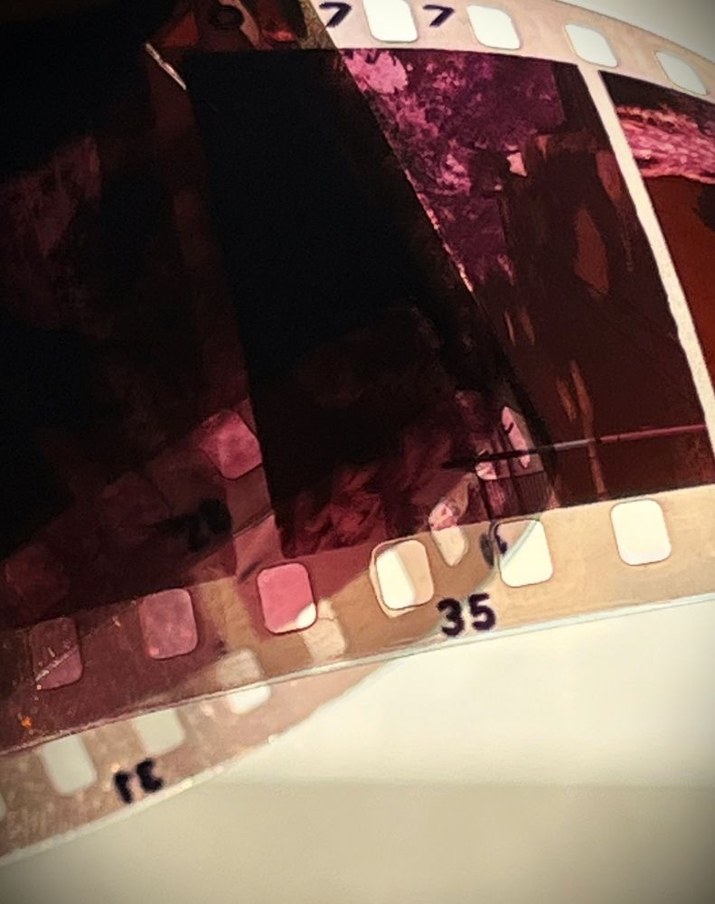 Photograph by Dmitriy Marchenko