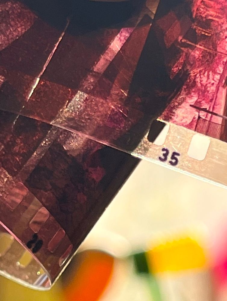 Photograph by Dmitriy Marchenko