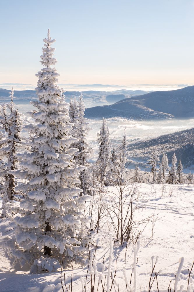 Photograph by Yuliy Osipova