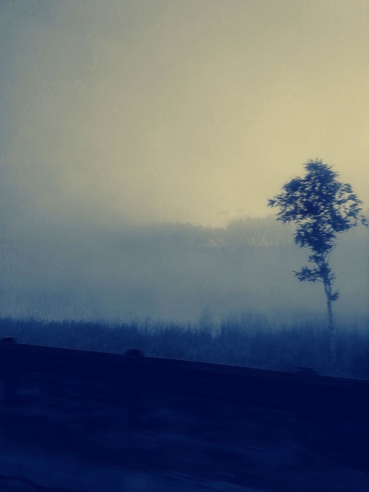 Photograph by Наталья Веряскина