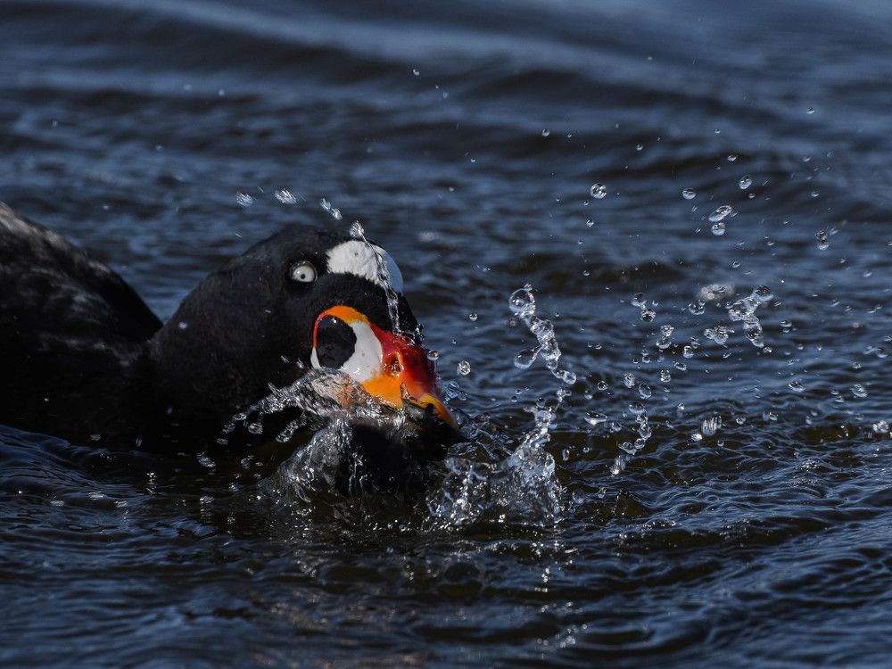 Photograph by Antara Chakravarty