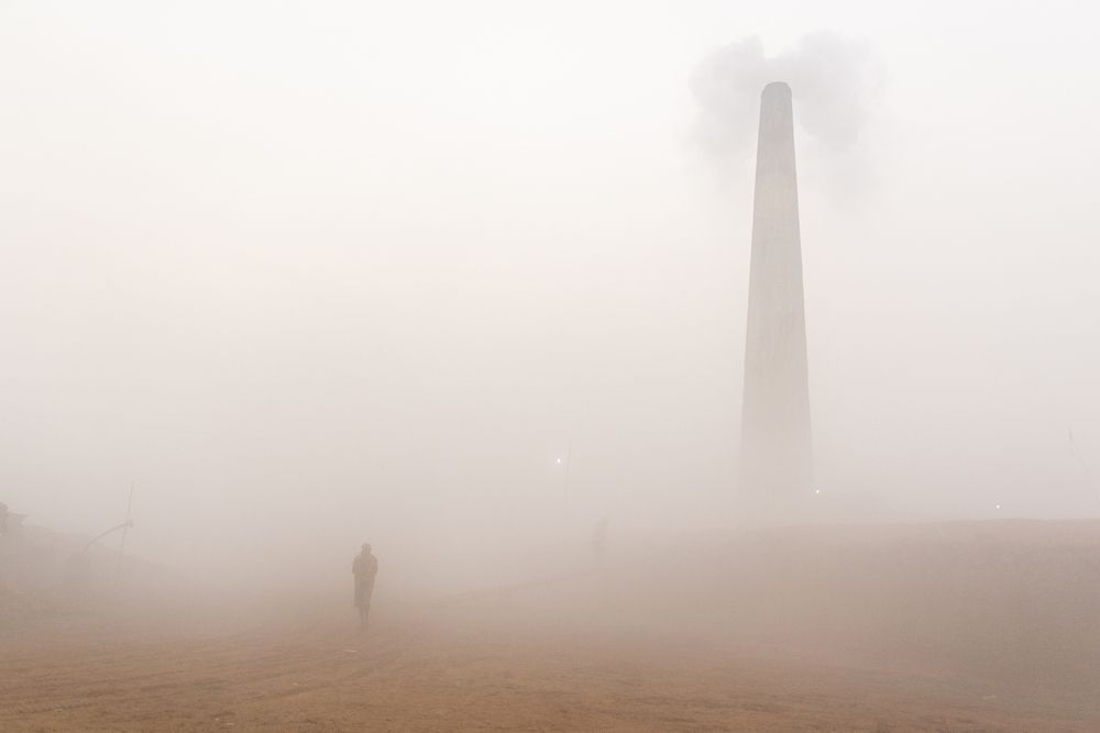 Winter morning in Brick field