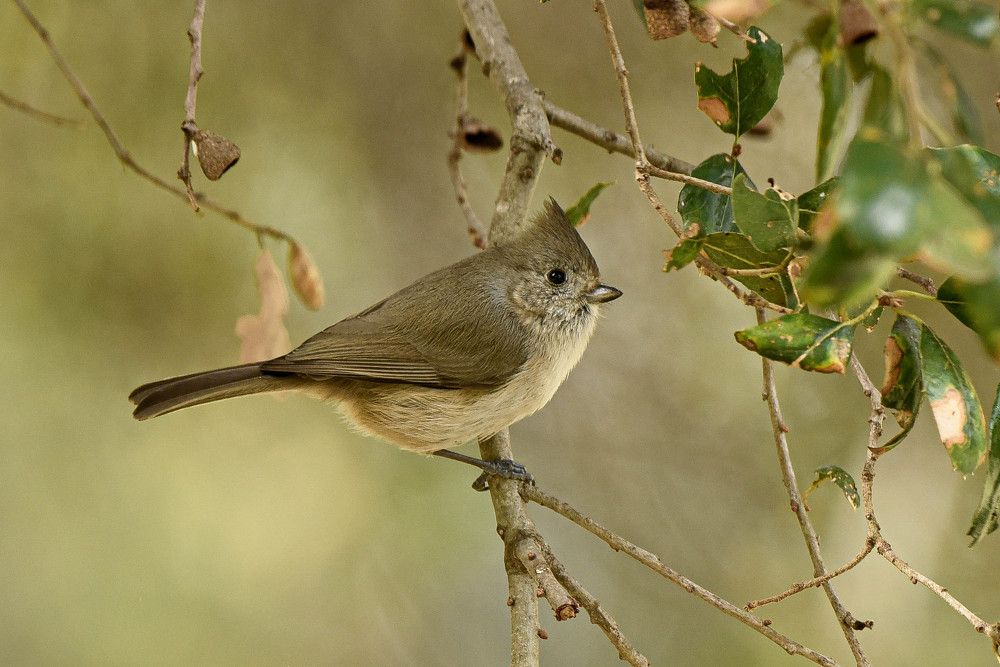 Photograph by Antara Chakravarty