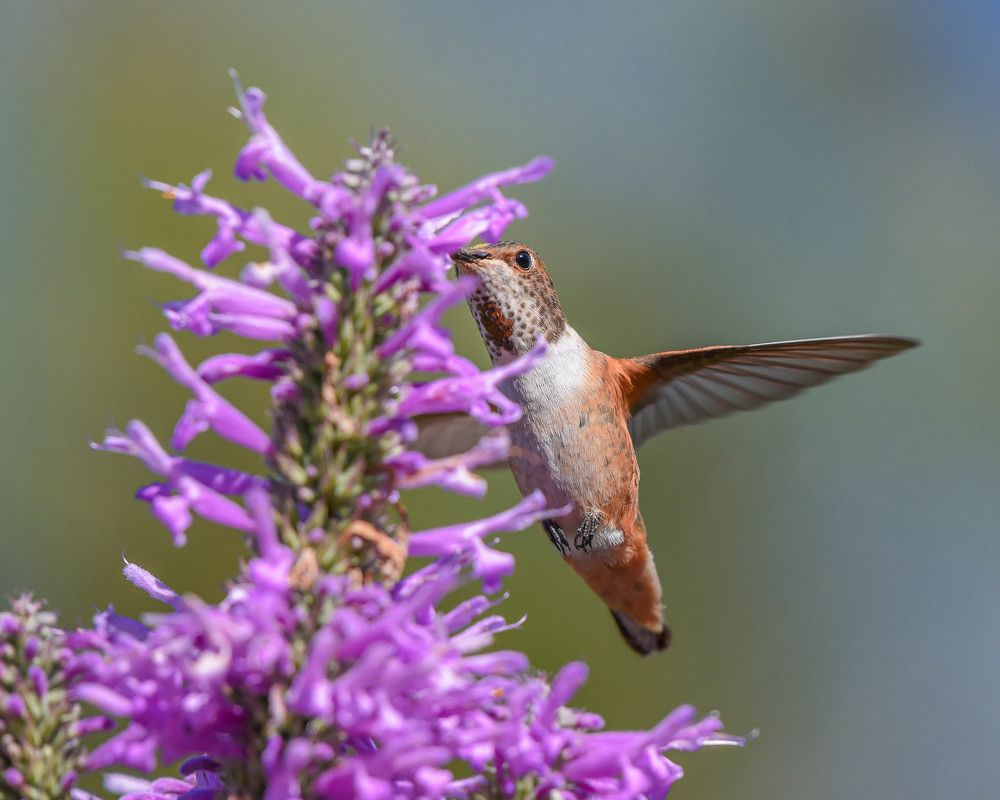 Photograph by Antara Chakravarty