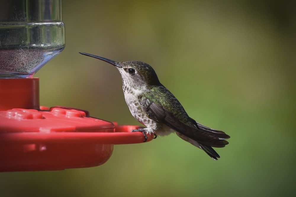 Photograph by Antara Chakravarty