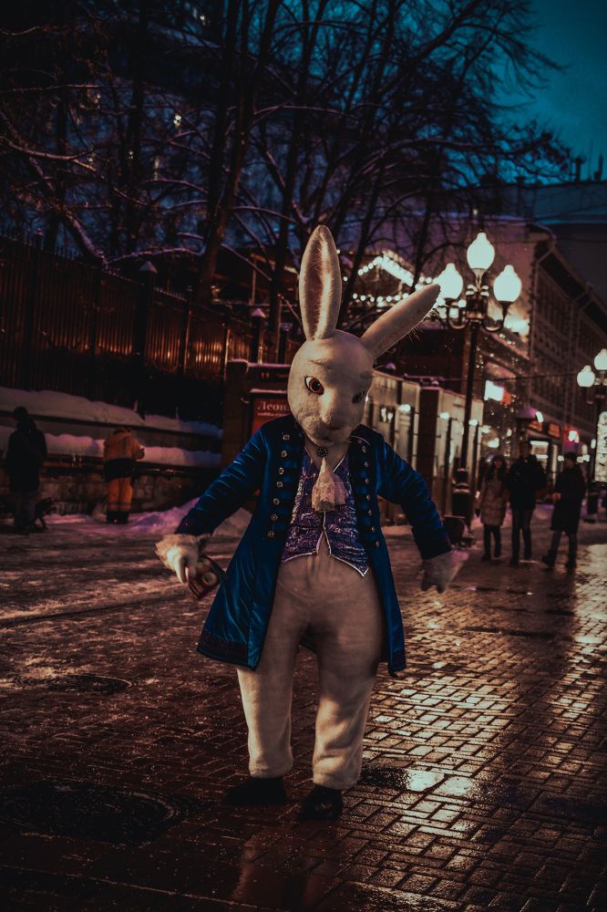 Photograph by Александр Лямцев