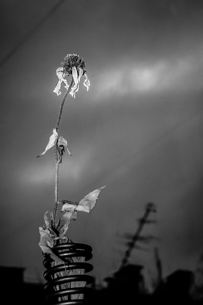 Фотография автора Наталья Соболь