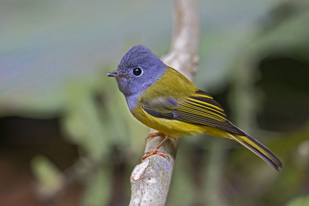 Photograph by DR ARPIT BANSAL