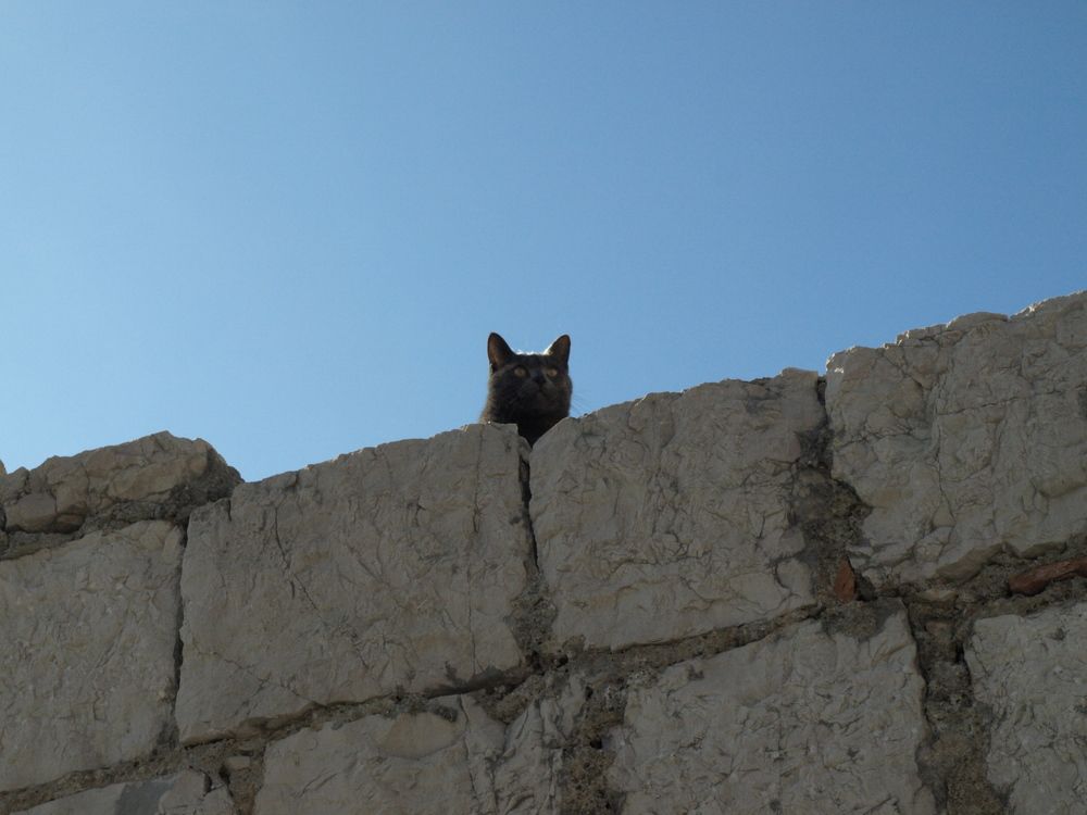 Photograph by Ivana Kolencphotography