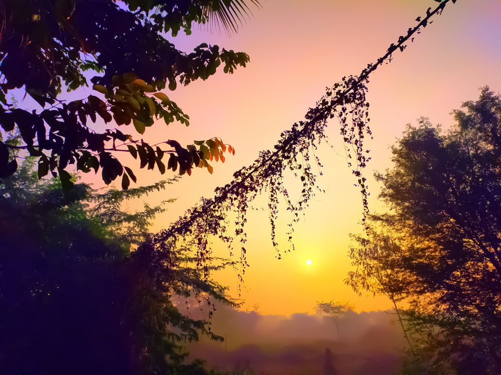 Photograph by Mahendra ponnapati