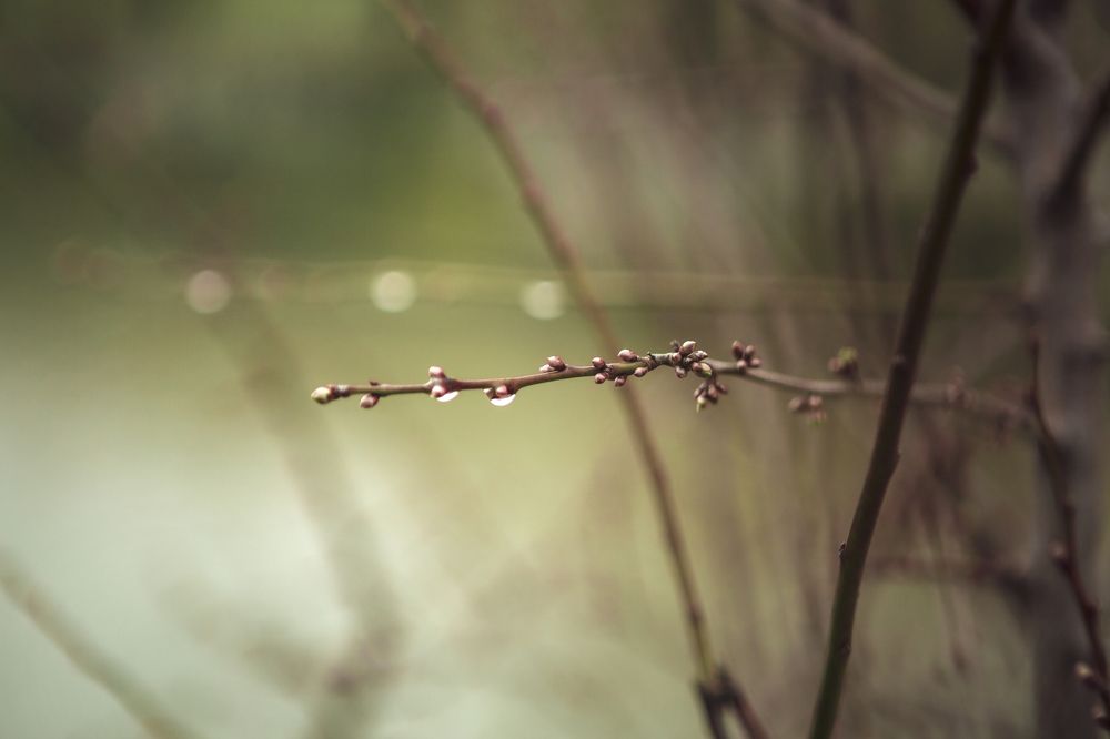 Photograph by Ангелина Голубева