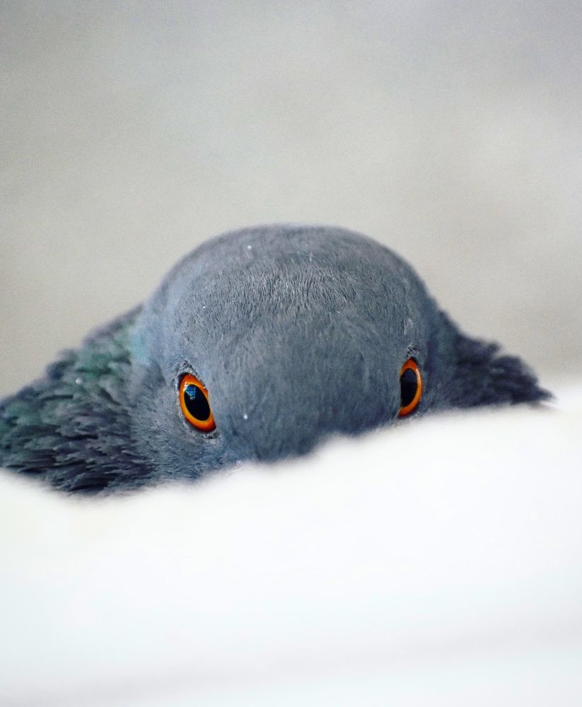 Photograph by Prasad Kumbhar