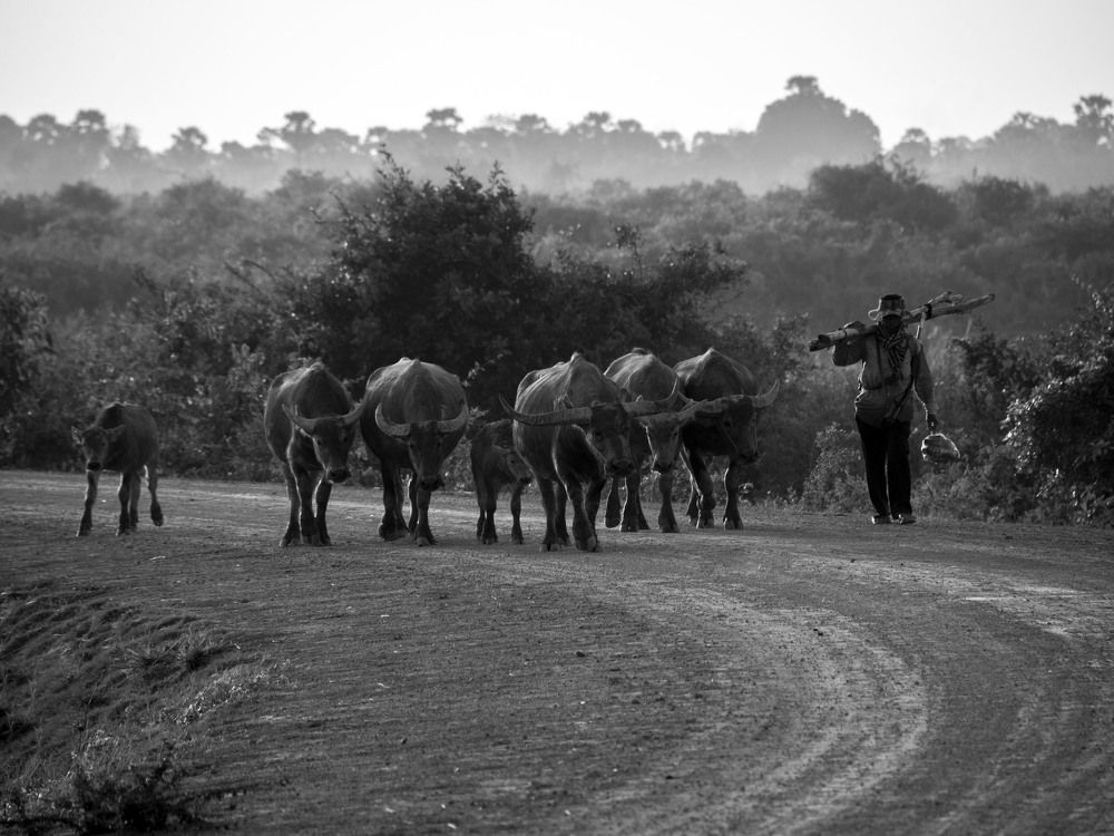 Photograph by Tang phengang