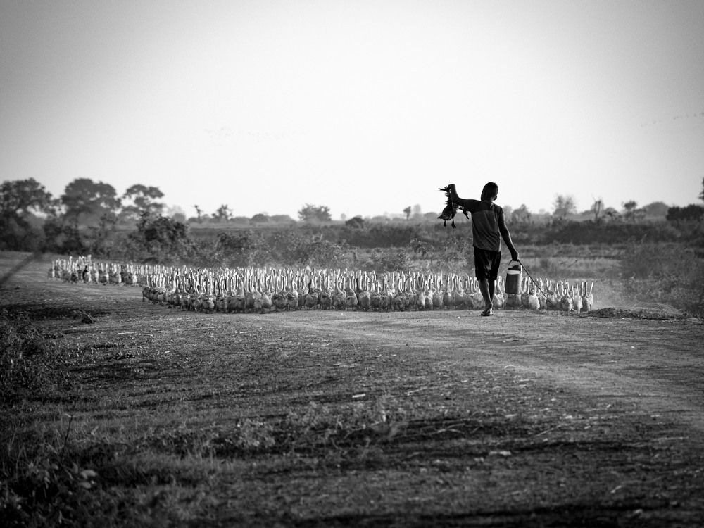 Photograph by Tang phengang