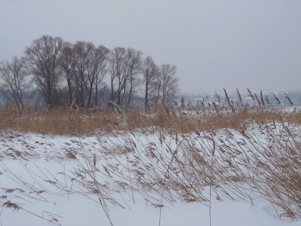 Photograph by Светлана Батурова