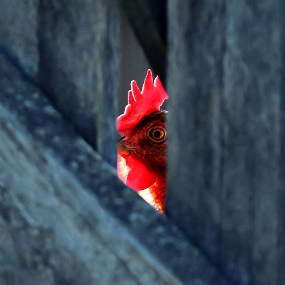 Photograph by Аркадий Ишимов