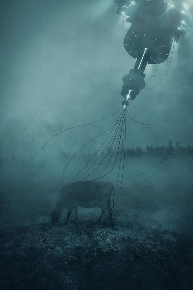 Photograph by Özkan Durakoglu