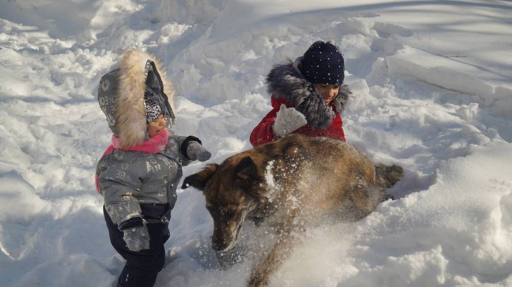 Photograph by Иван Кирилков