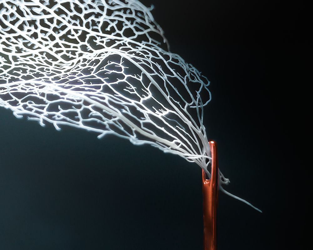 Photograph by Алена Круглик