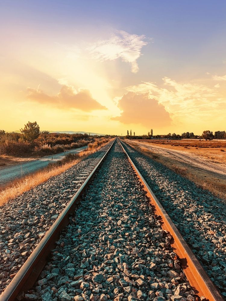 Photograph by mohammad mohammadijo