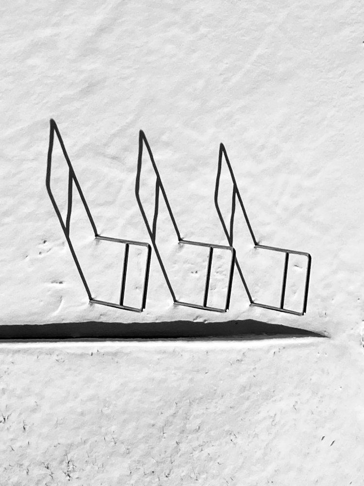 Photograph by Анастасия Ломаева