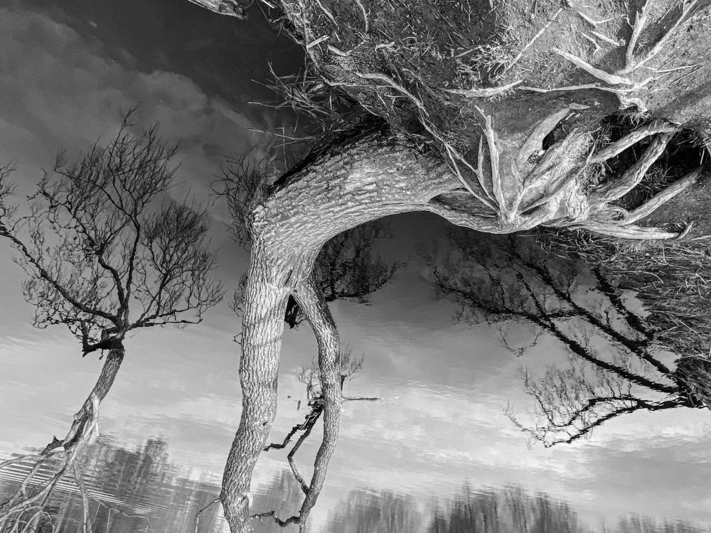 Photograph by Анастасия Ломаева