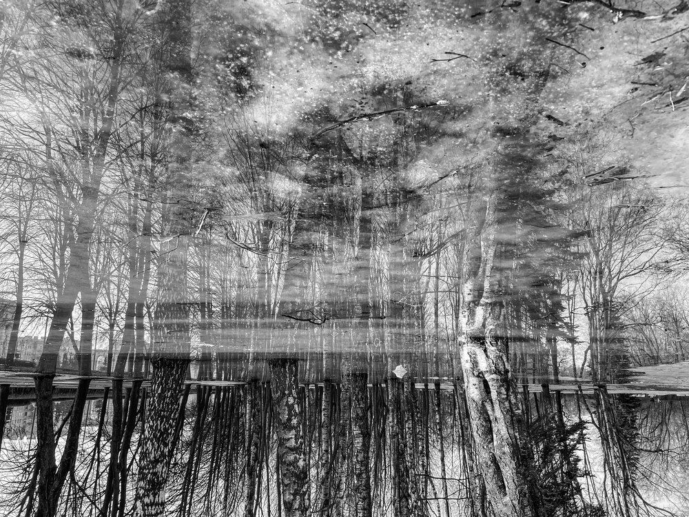 Photograph by Анастасия Ломаева