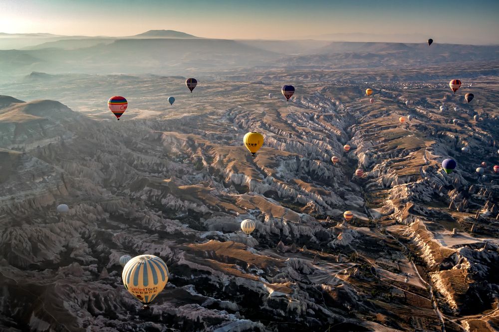 Photograph by Adrian Grigore