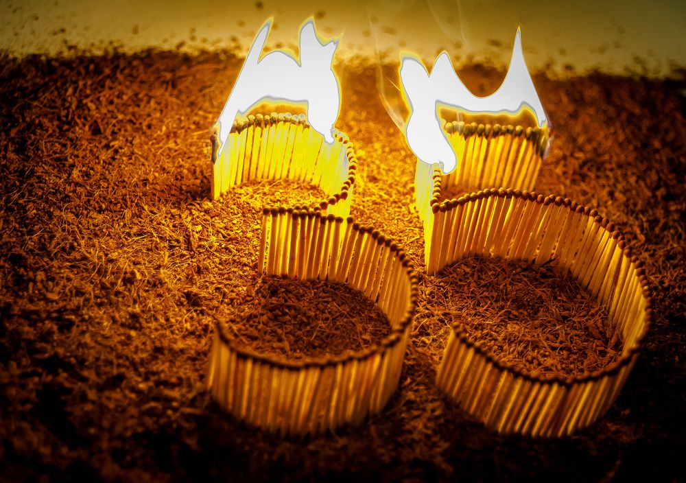 Photograph by Виктор Садырин