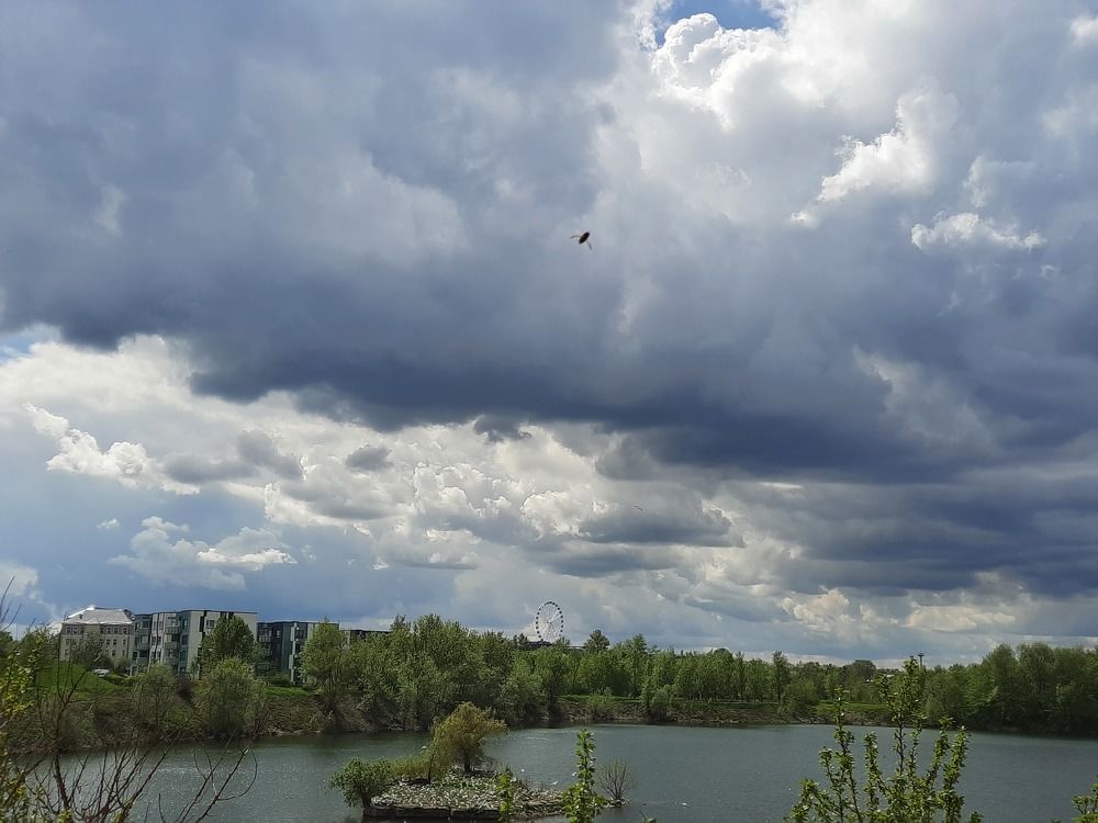 Перед грозой!