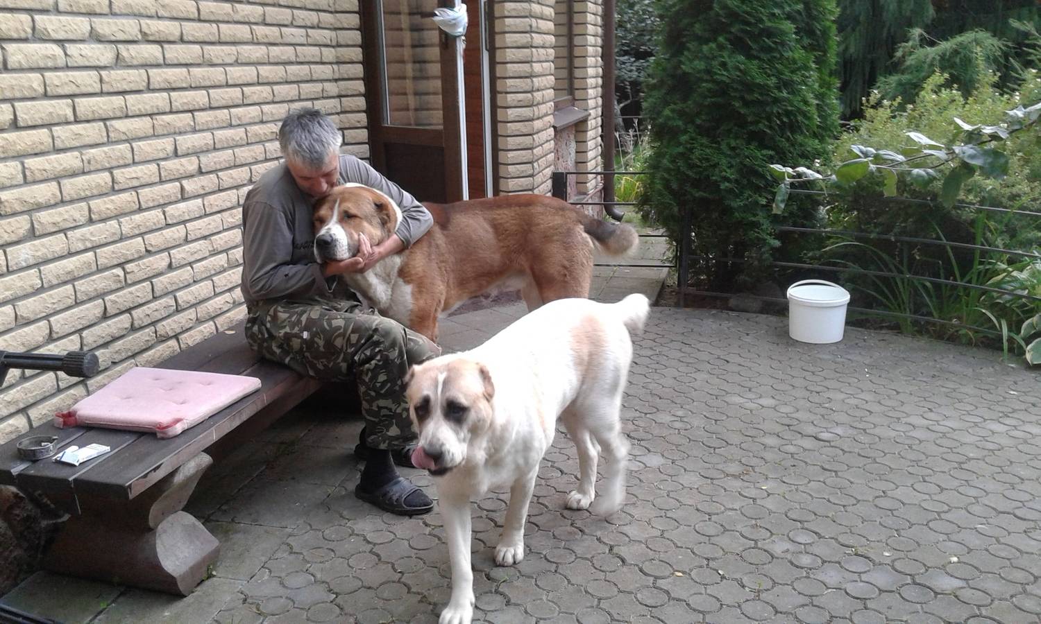 Photo #7418591