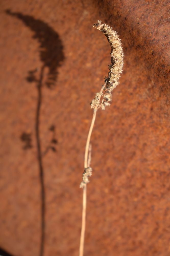 Photograph by Наталья Еременко