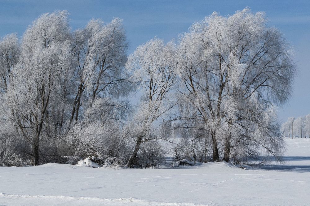 Photograph by Анатолий Васильев