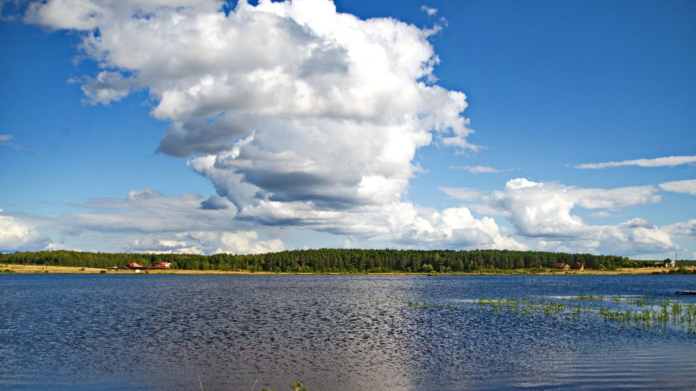 Photograph by Сергей