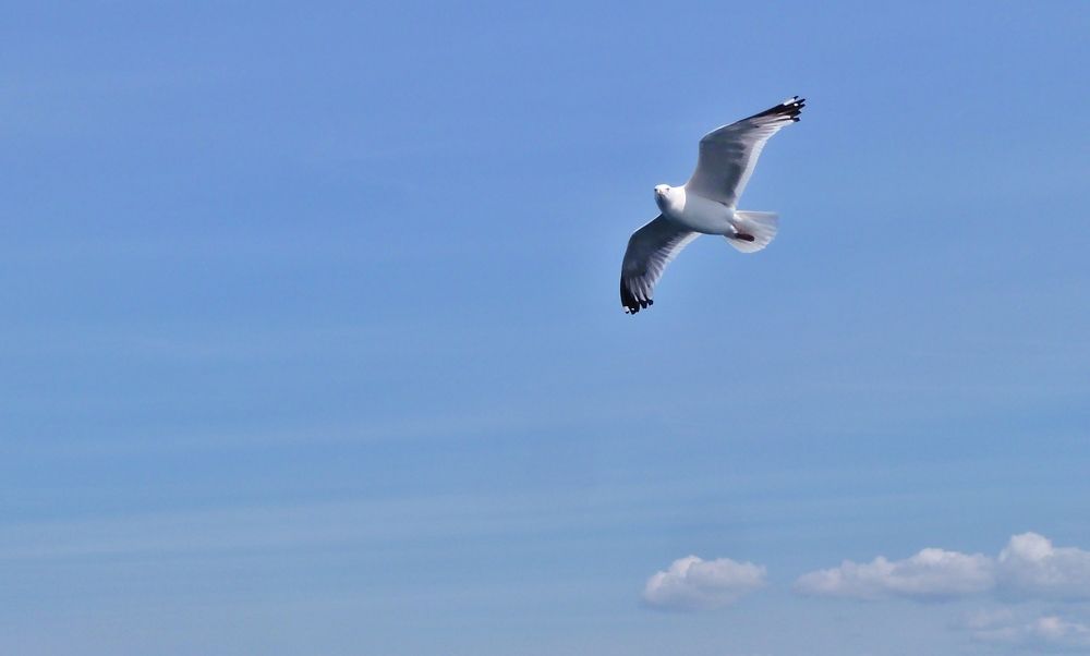 Photograph by Сергей Григорьев