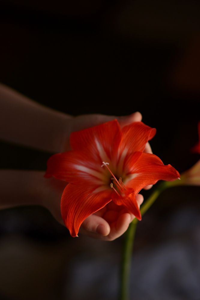 Photograph by Олеся Парфенова